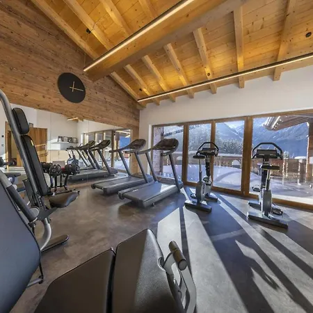 Near Wildkogel Arena Alpstuga